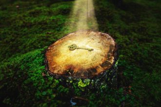 Foundations of the Law of Attraction. Golden key resting on top of a tree stump in an outdoor setting. The key is illuminated by the light shining through the grass, giving it a warm and inviting glow.